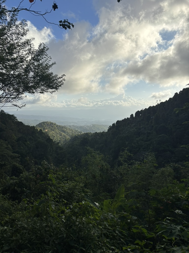 0B7F543E-E2A1-4A7F-8236-76425B1EB196_1_105_c.jpeg